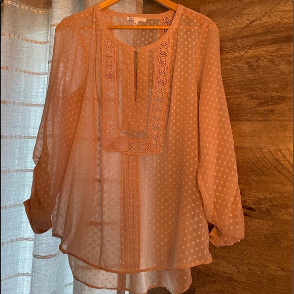 Cute Old pink sheer blouse, size large - Picture 2 of 4